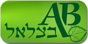 לימודי EFT | אמנון בצלצל
