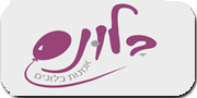 קרן פרידמן | אומנית בעיצוב בלונים