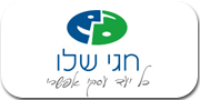חגי שלו  | אימון עסקי