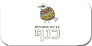 אומנות מצויירת | ורדה שילה
