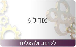 לכתוב ולהצליח