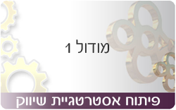 פיתוח אסטרטגיית שיווק